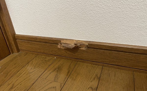 巾木補修